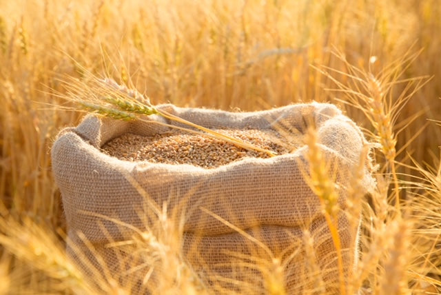 Wheat flour available again NOW! Yippeeeeee :)