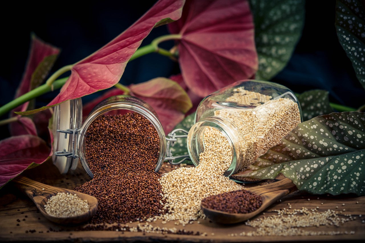 Spray-free Kiwi Quinoa - RED gluten-free quinoa grain - order NOW!