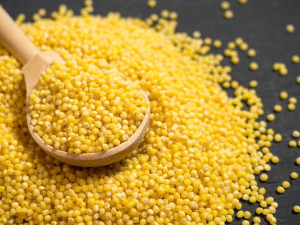 Organic GF Millet Grain - order NOW!