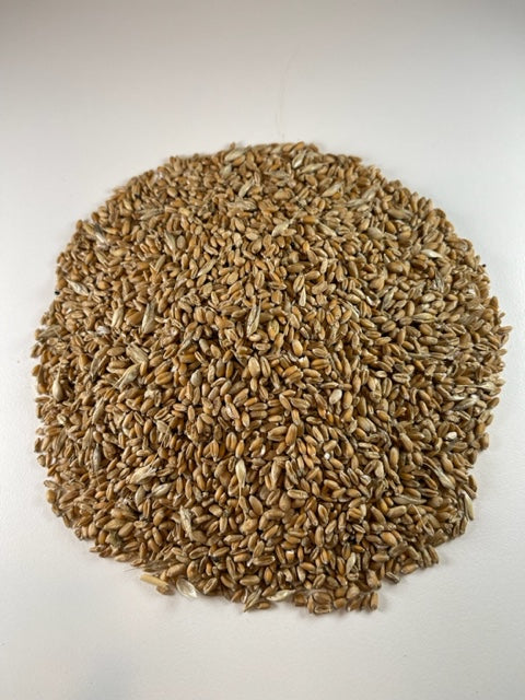 NEW: Wheat Seconds available NOW!